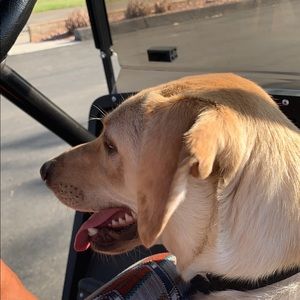 Meet your Posher, Michelle